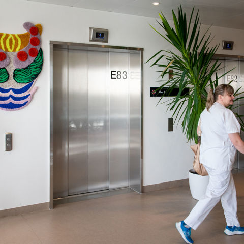 Home away from home 1