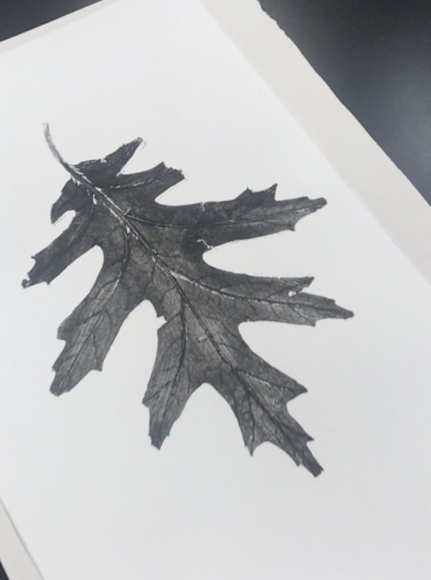 tryk af egeblad - foto Hjørring Grafisk Værksted