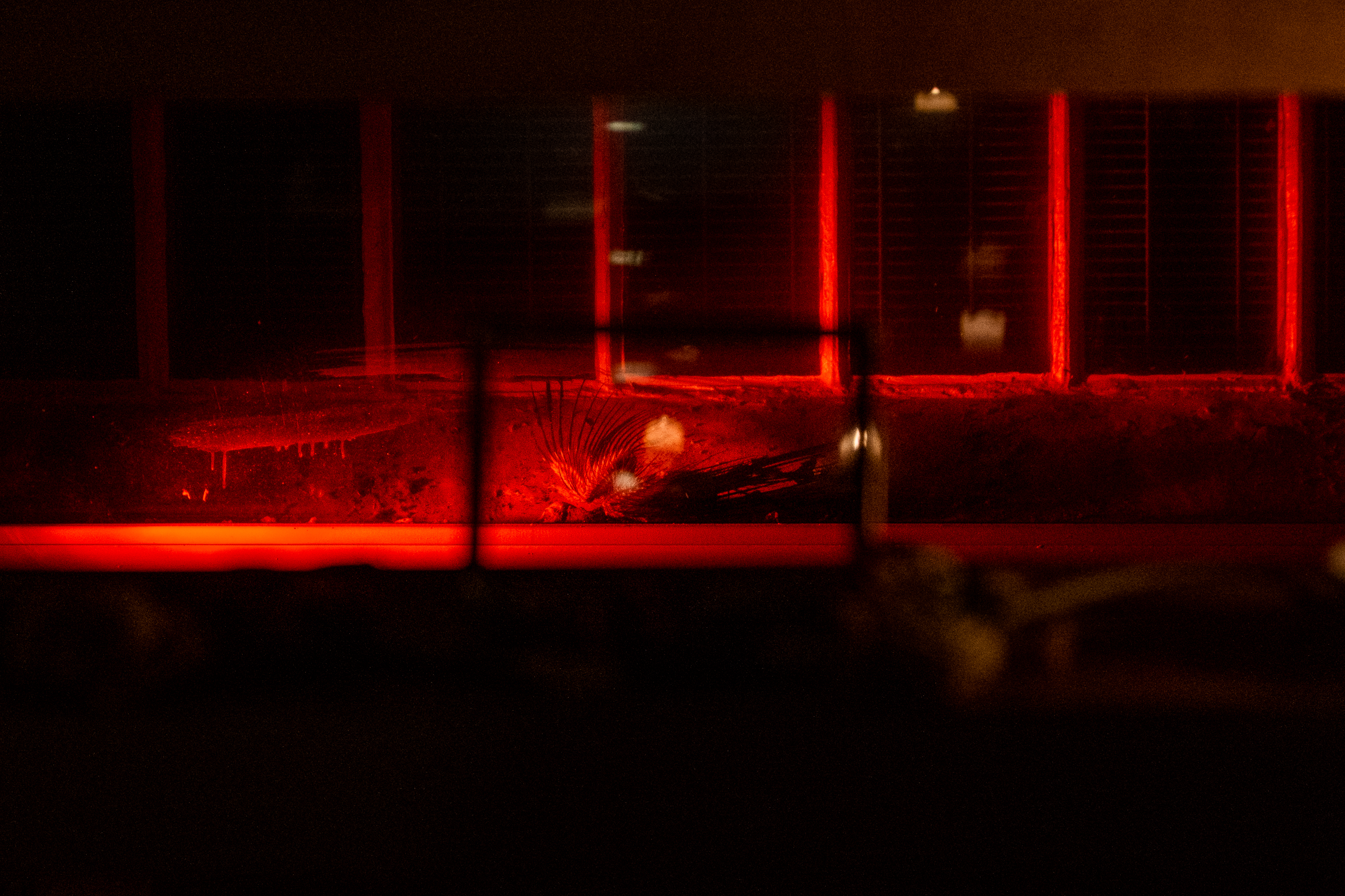 Mutation Week 2022_foto_Claire Chevalley