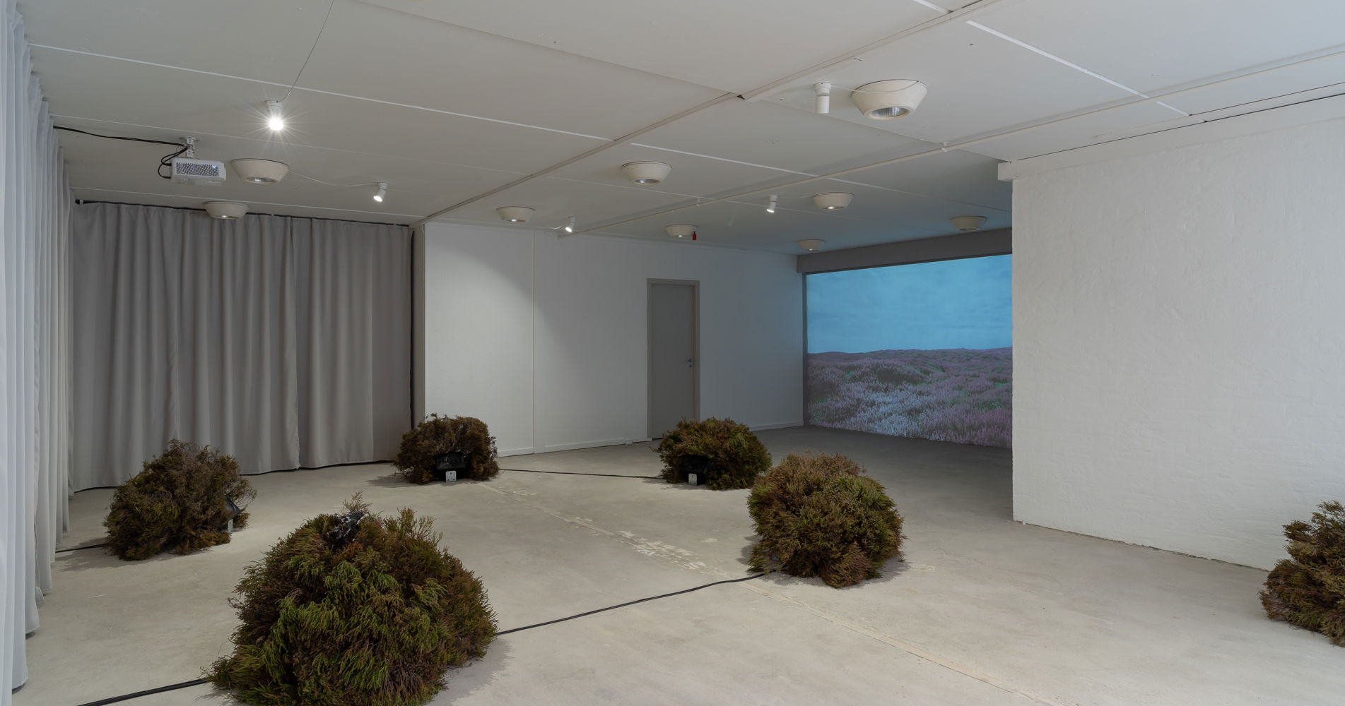 Broom Buzzems II_Oskar Koliander_SKAL Contemporary 2022_foto Oskar Koliander